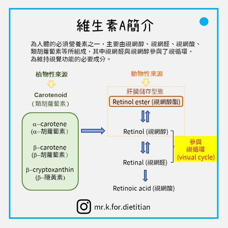 維生素A簡介